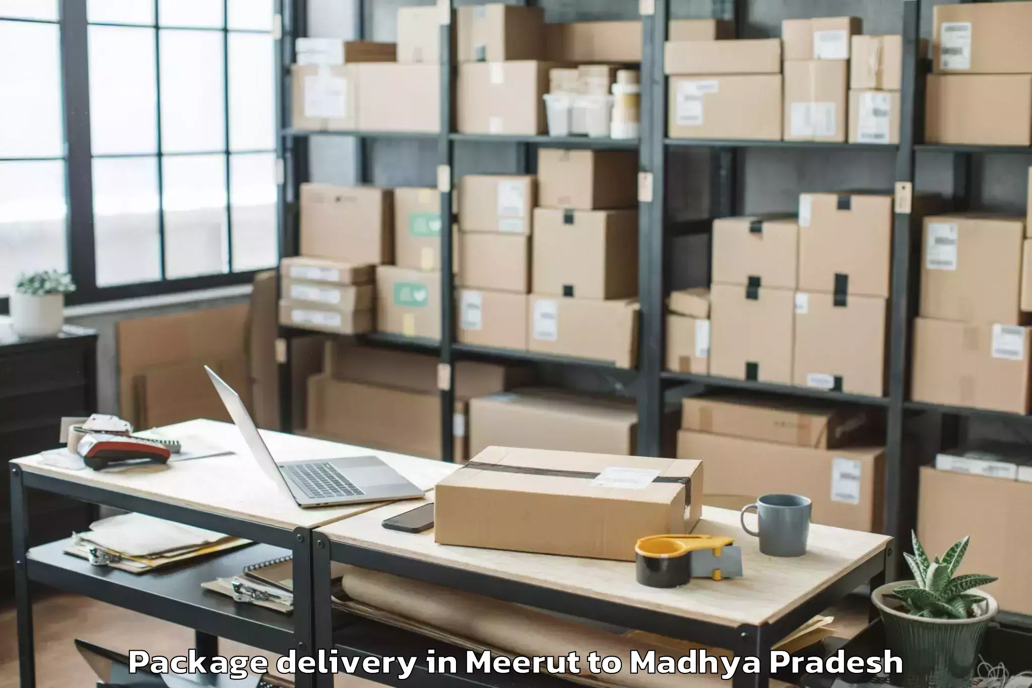 Easy Meerut to Petlawad Package Delivery Booking